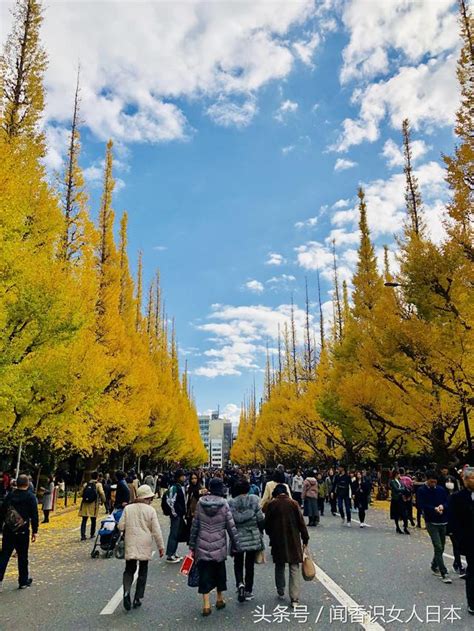 銀杏有花嗎